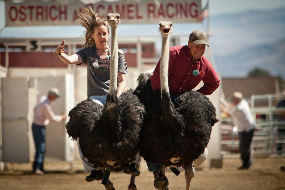 Ostrich+Races+Nevada