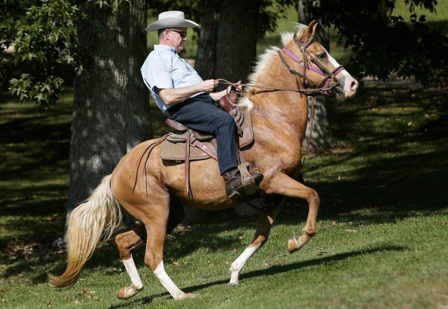 1155968404_5589415389001_5589400328001-vs