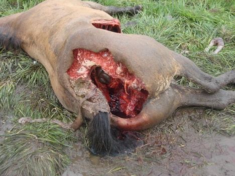 main-qimg-c9fbf0f1b7224e69288b2179ac353b97-c